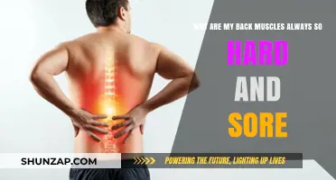 Why Your Back Muscles Stay Hard and Sore: Causes & Relief