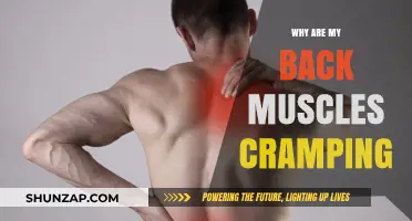 Unraveling the Mystery: Why Are My Back Muscles Cramping?