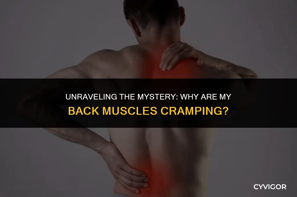 why are my back muscles cramping