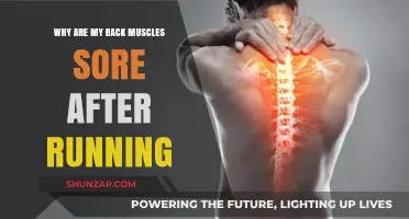 Running and Back Pain: Understanding Post-Run Muscle Soreness Causes