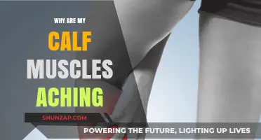 Unraveling the Mystery: Why Your Calf Muscles Ache