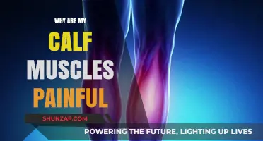 Calf Muscle Pain: Causes, Prevention, and Effective Relief Strategies