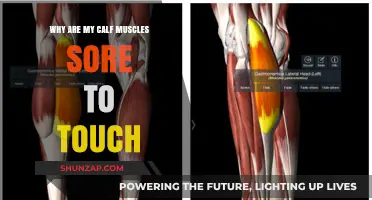 Why Calf Muscles Sore to Touch: Causes and Remedies Explained