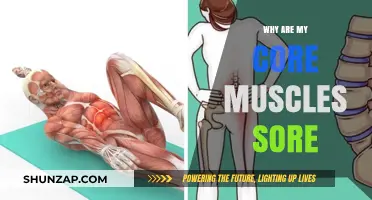 Why Your Core Muscles Are Sore: Causes and Remedies Explained