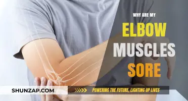 Why Your Elbow Muscles Are Sore: Causes and Relief Tips