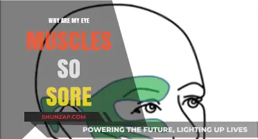 Why Eye Muscles Ache: Causes, Remedies, and Prevention Tips