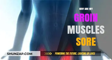 Why Groin Muscles Ache: Causes, Remedies, and Prevention Tips