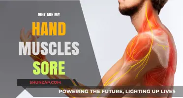 Hand Muscle Soreness: Causes, Remedies, and Prevention Tips Explained