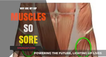 Hip Pain Explained: Causes of Sore Hip Muscles and Relief Tips