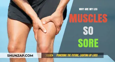 Why Leg Muscles Ache: Causes, Remedies, and Prevention Tips