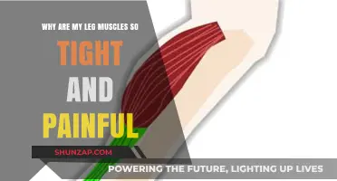 Understanding Leg Muscle Tightness: Causes, Pain Relief, and Prevention Tips