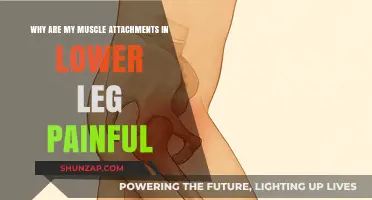 Lower Leg Muscle Attachment Pain: Causes, Prevention, and Relief Strategies