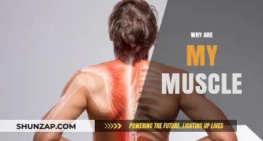 Unlocking the Mystery of Muscle Soreness