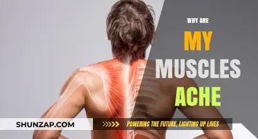 Muscle Aches: Understanding the Pain and Why It Happens