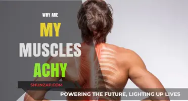 Muscle Aches: Understanding the Causes and Remedies