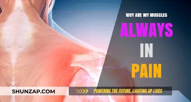 Why Your Muscles Ache Constantly: Causes and Relief Strategies