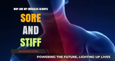 Understanding Persistent Muscle Soreness and Stiffness: Causes and Remedies