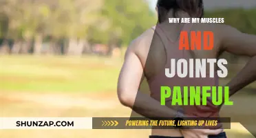 Understanding Muscle and Joint Pain: Causes, Prevention, and Relief Strategies