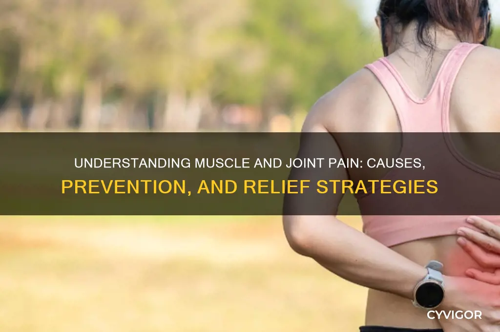 why are my muscles and joints painful