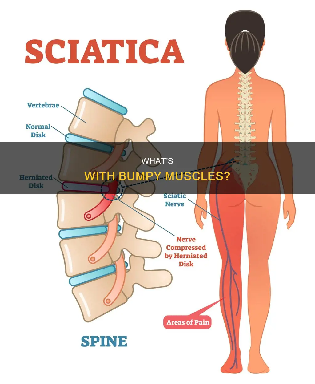 why are my muscles bumpy