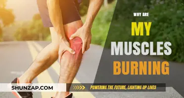 What Causes Muscles to Burn During Exercise?
