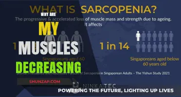 Unraveling the Mystery of Muscle Loss