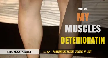 Muscle Loss: Understanding the Reasons Behind Deteriorating Muscles