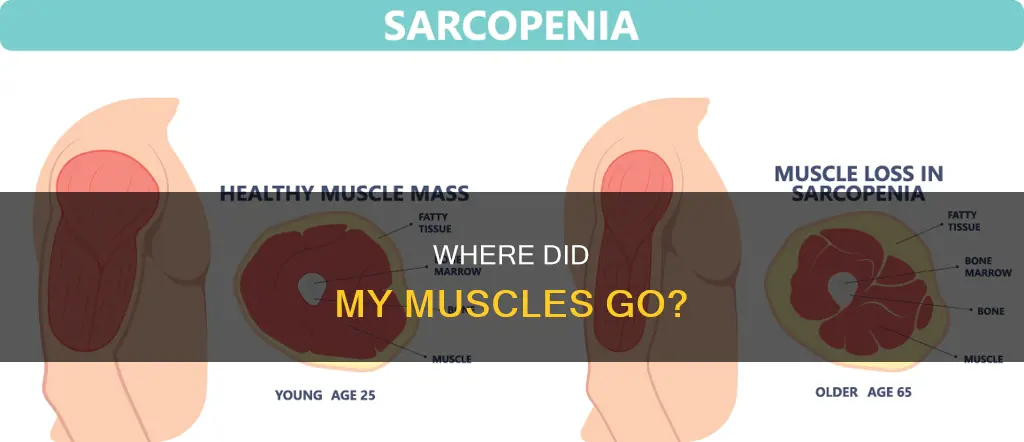 why are my muscles disappearing