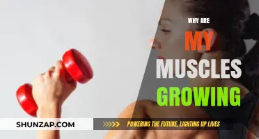 Why Are My Muscles Growing? Understanding Muscle Growth Factors