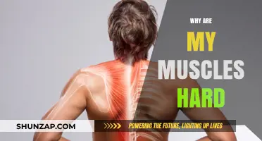 What Makes Muscles Feel Hard?