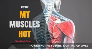 What's Behind Hot Muscles: Causes and Cures