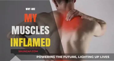 Muscle Inflammation: What's the Cause?