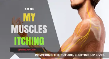 Muscle Itch Mystery: What Your Body is Telling You