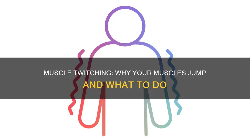 why are my muscles jumping