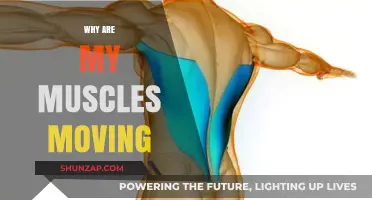 Understanding Muscle Twitching and Uncontrolled Movement