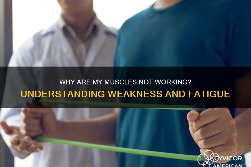why are my muscles not working