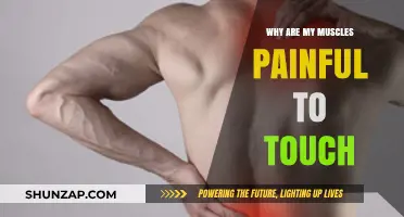 Why Your Muscles Hurt to Touch: Causes and Remedies Explained