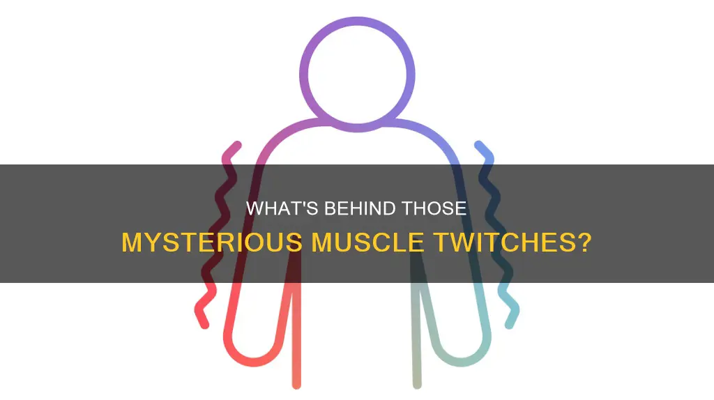 why are my muscles pulsing