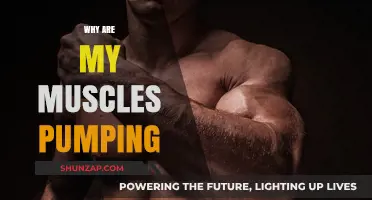 Understanding Muscle Pumping: What's Happening to Your Body