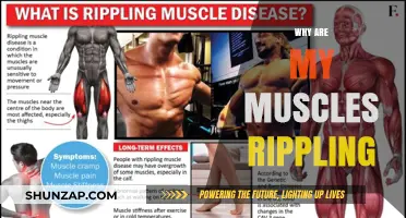 Uncontrollable Muscle Twitches: What Your Body is Trying to Tell You