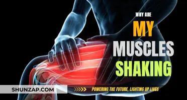 Understanding Muscle Shaking: Causes and Remedies