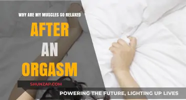 Post-Orgasm Muscle Relaxation: Unraveling the Blissful Calm After Climax