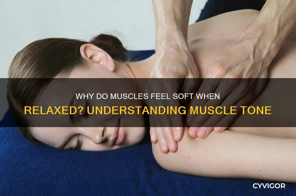 why are my muscles soft when relaxed