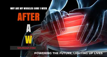 Delayed Muscle Soreness: Understanding Week-Long Post-Workout Pain Causes