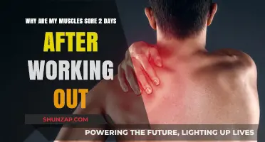 Delayed Muscle Soreness: Understanding Post-Workout Pain 2 Days Later