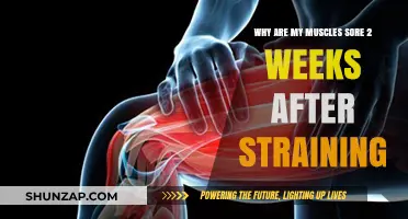 Persistent Muscle Soreness: Understanding Delayed Pain After a Strain