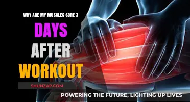 Delayed Muscle Soreness: Understanding 3-Day Post-Workout Pain Causes