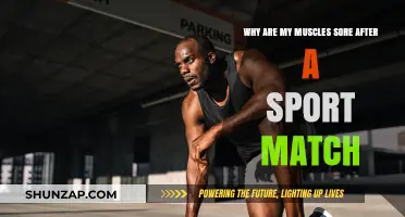 Post-Game Muscle Soreness: Causes and Remedies for Athletes