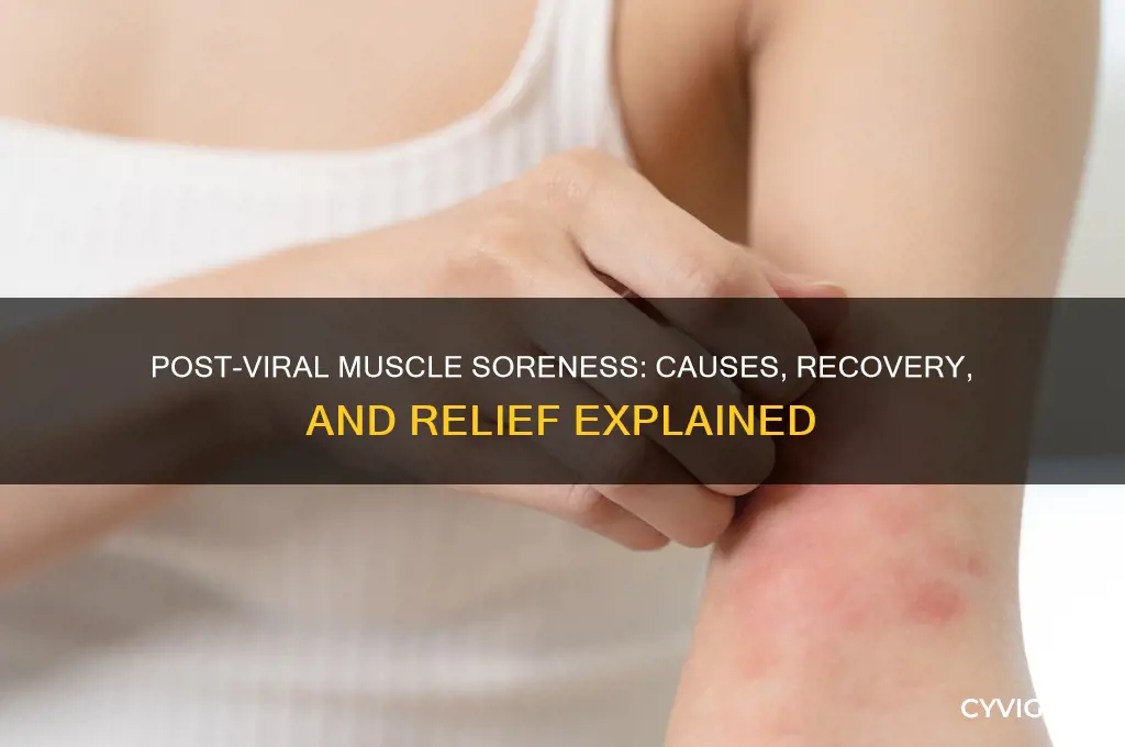 why are my muscles sore after a virus