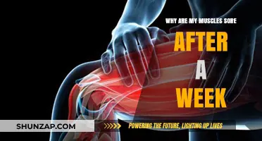 Understanding Delayed Muscle Soreness: Causes and Recovery Tips